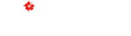 Aloha Band